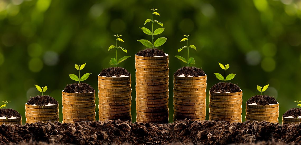 Bien comprendre le taux de rendement de votre assurance vie