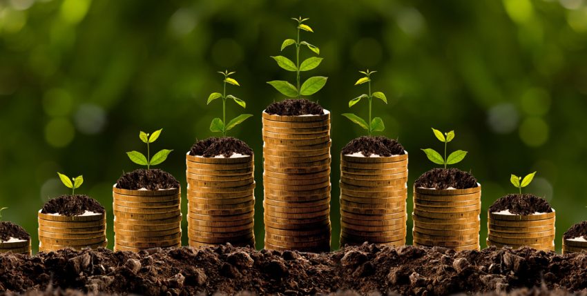 Bien comprendre le taux de rendement de votre assurance vie