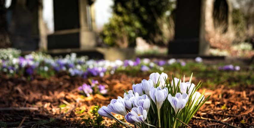 Comment savoir si une personne décédée avait une assurance vie ?
